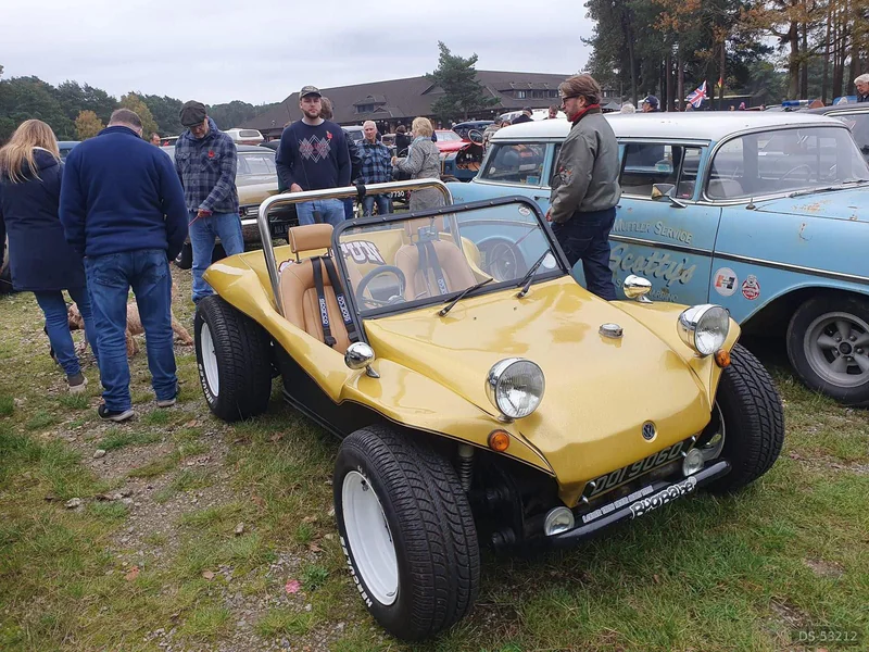 1972 Volkswagen Buggy in Fleet 4