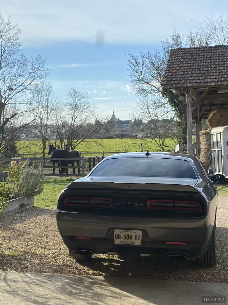 2016 Dodge Challenger in La Roquette Sur Siagne 4