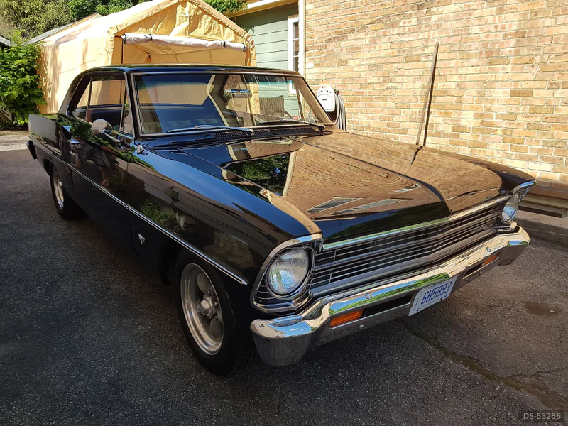 1967 Chevrolet Nova Ll in Paris Ontario 2