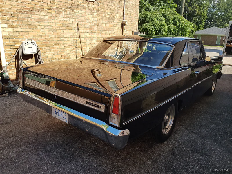 1967 Chevrolet Nova Ll in Paris Ontario 3