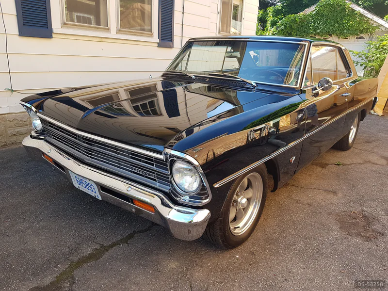 1967 Chevrolet Nova Ll in Paris Ontario 5