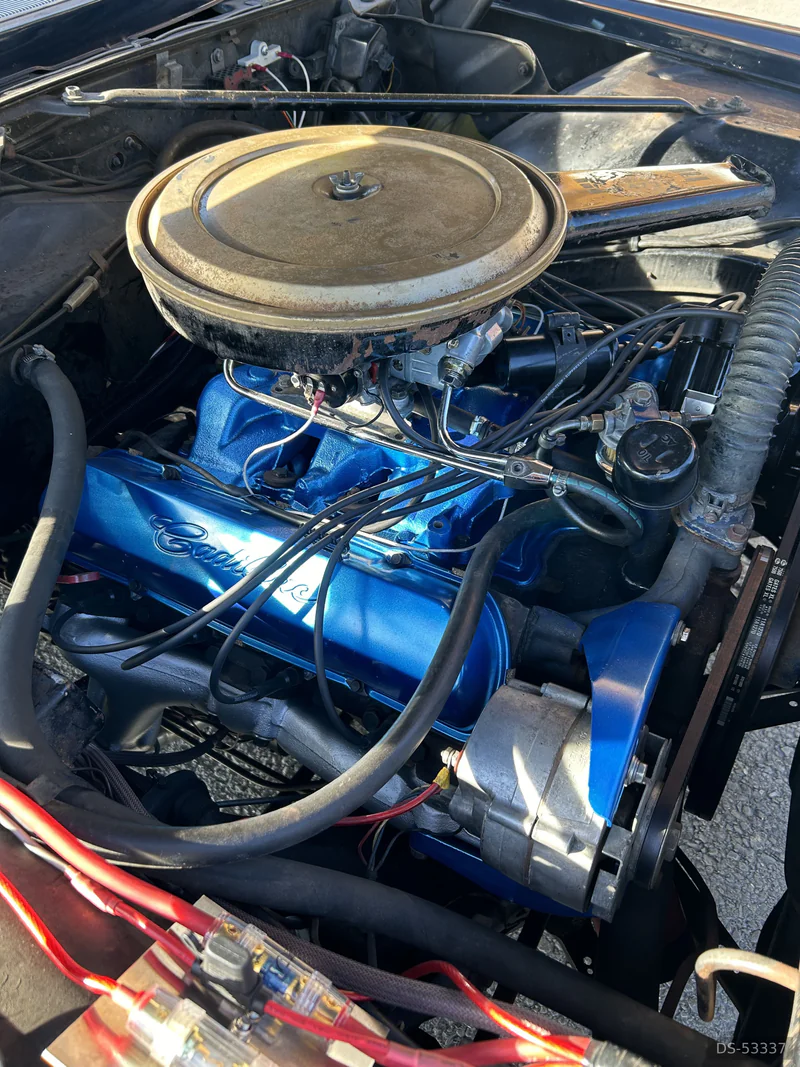 1966 Cadillac Fleetwood in Schwyz 3