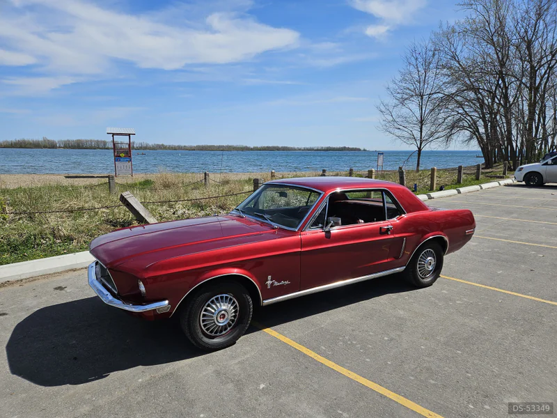1968 Ford Mustang in Toronto
