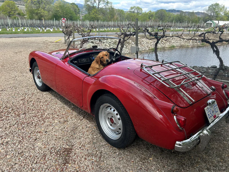 1958 MG Mga in Oliver 5