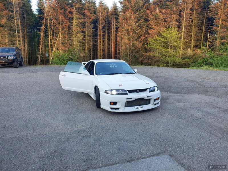 1995 Nissan Skyline Gtr R 33 in Gedsted 4
