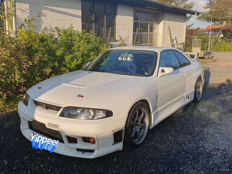 1995 Nissan Skyline Gtr R 33 in Gedsted 5