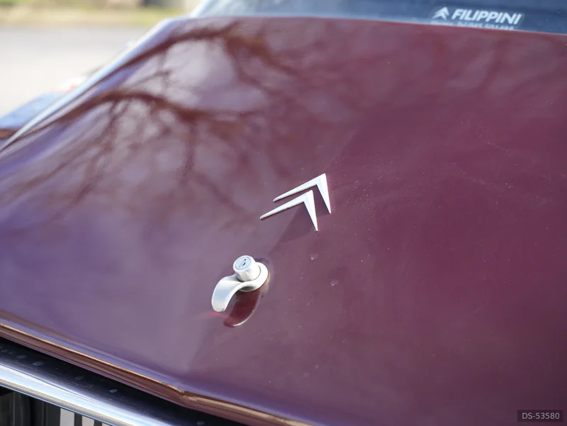 1971 Citroen Ds 20 in Erbe' 8