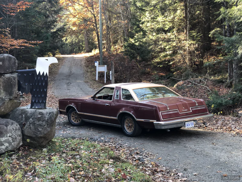 1978 Ford Thunderbird in Hamilton 2