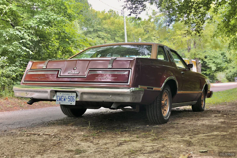 1978 Ford Thunderbird in Hamilton 5