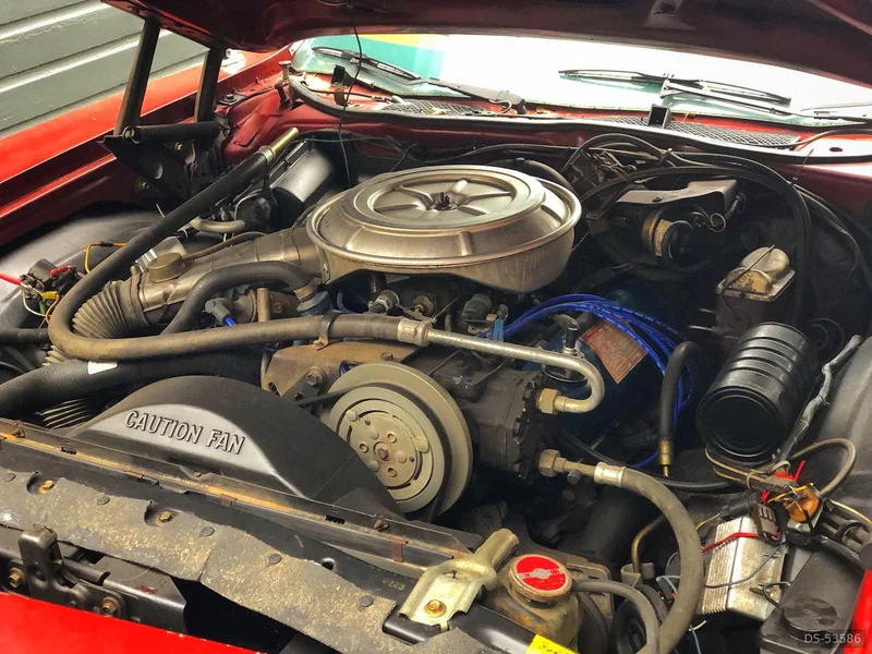1978 Ford Thunderbird in Hamilton 6