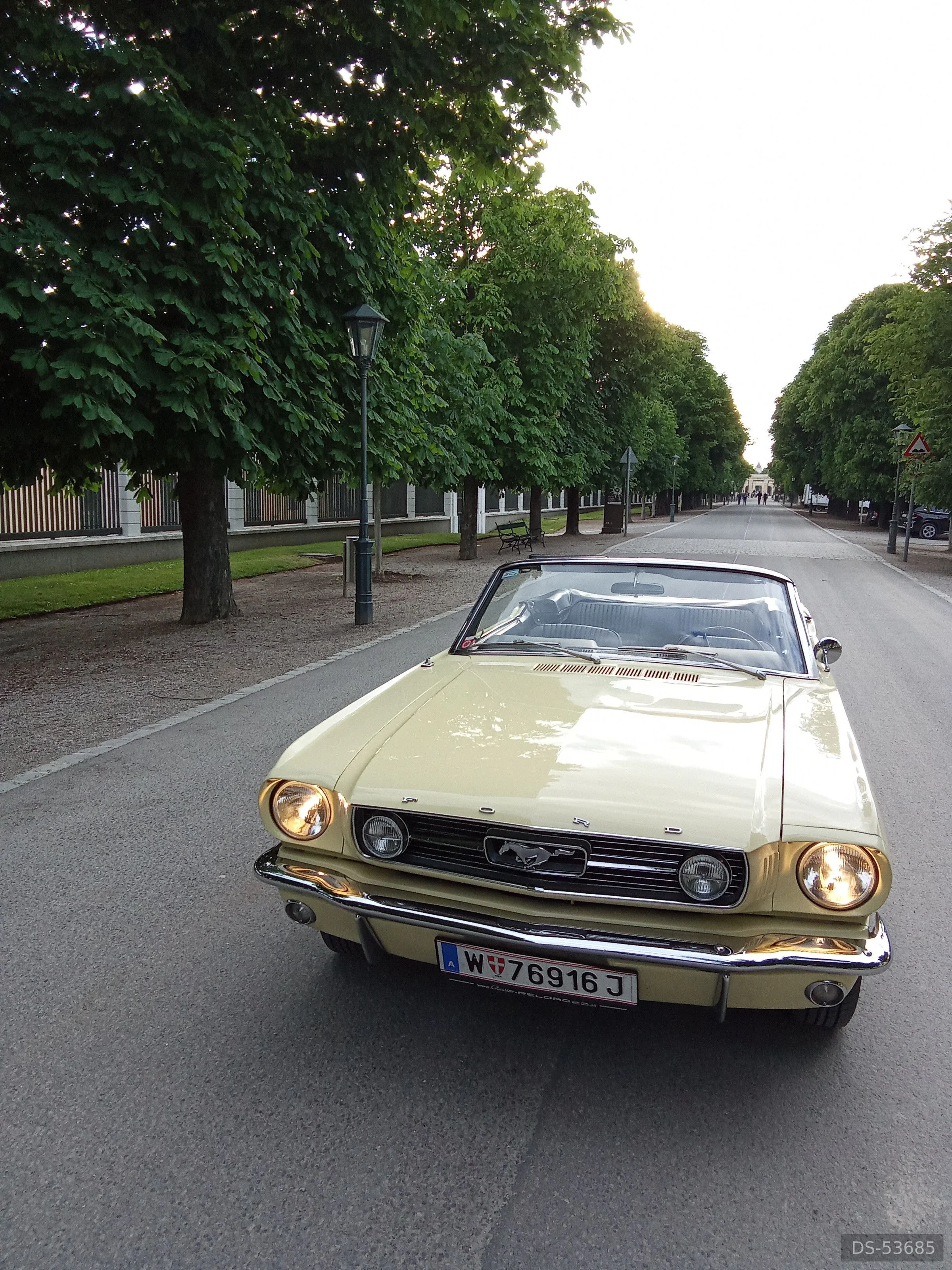 1966 Ford Mustang