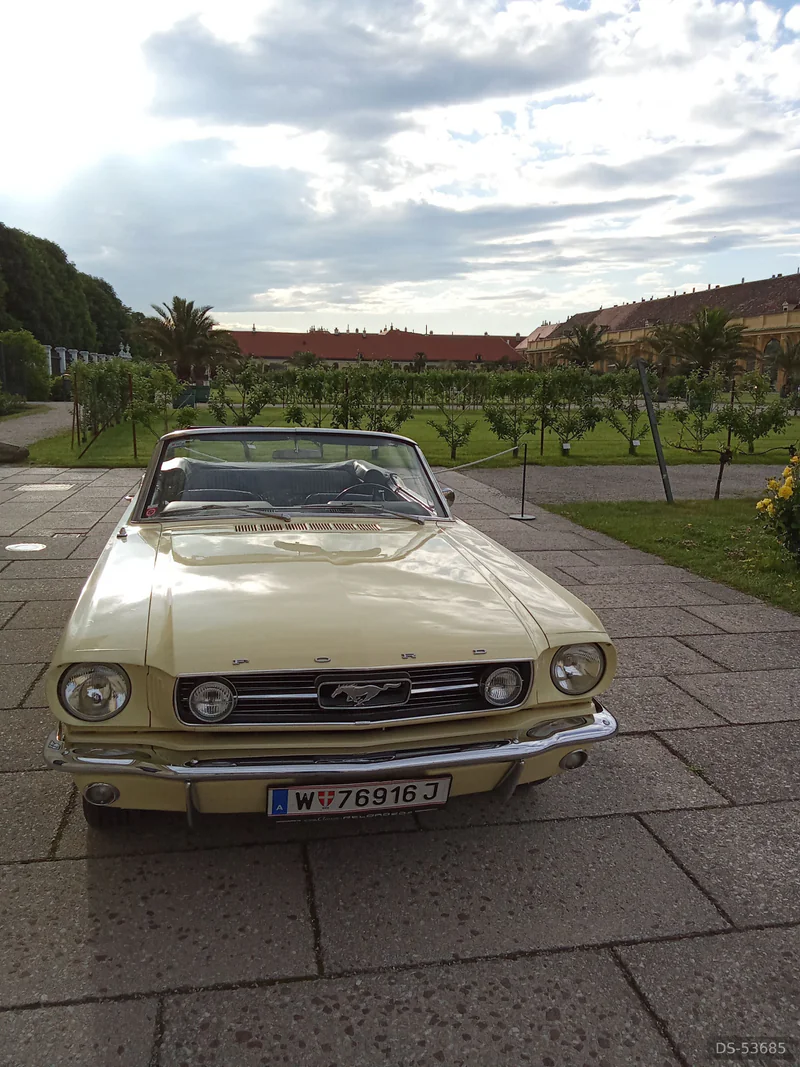1966 Ford Mustang in Wien 3