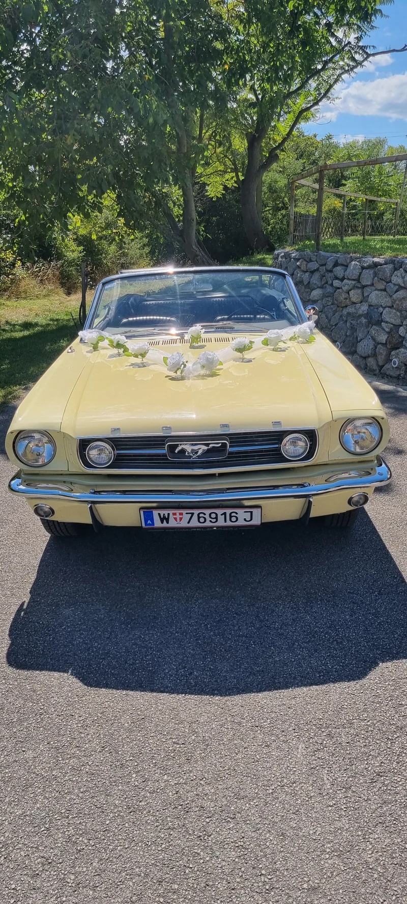 1966 Ford Mustang in Wien 5