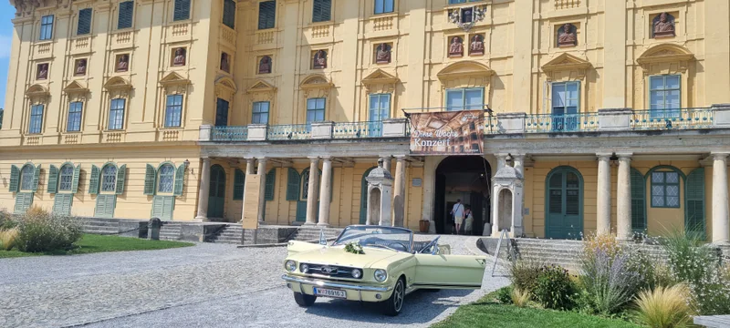 1966 Ford Mustang in Wien 6