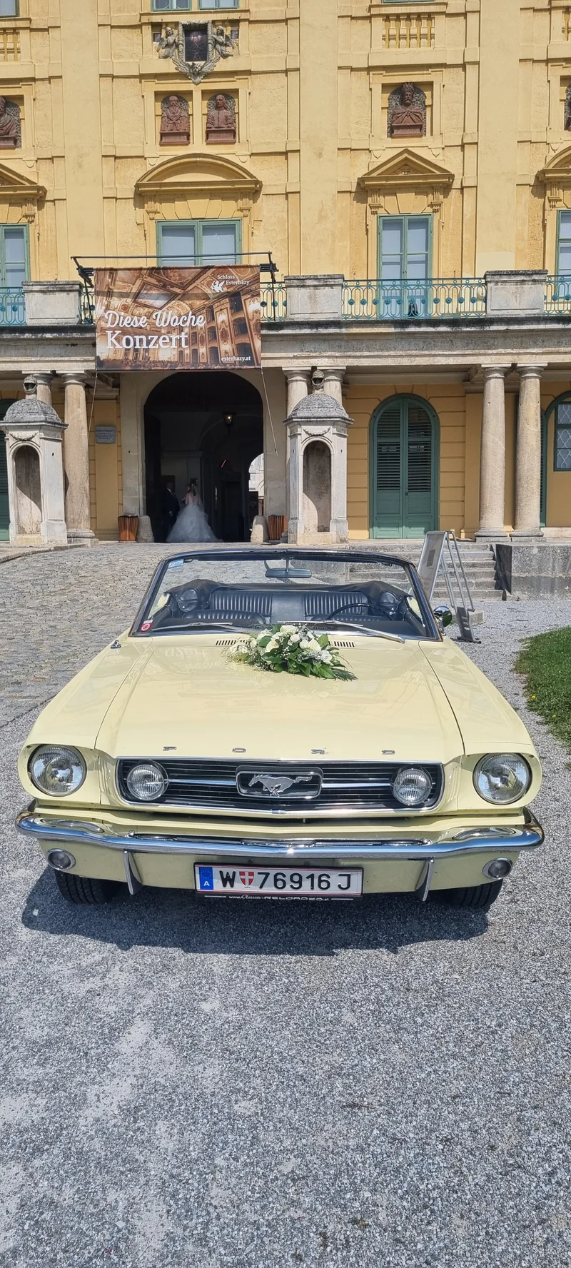 1966 Ford Mustang in Wien 7