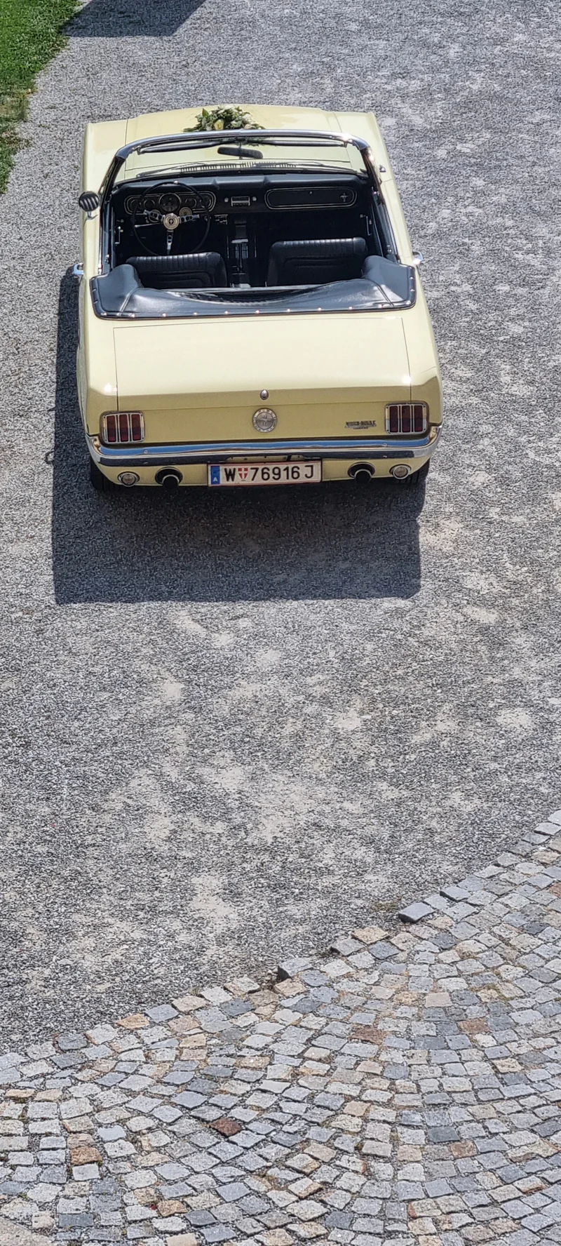 1966 Ford Mustang in Wien 8