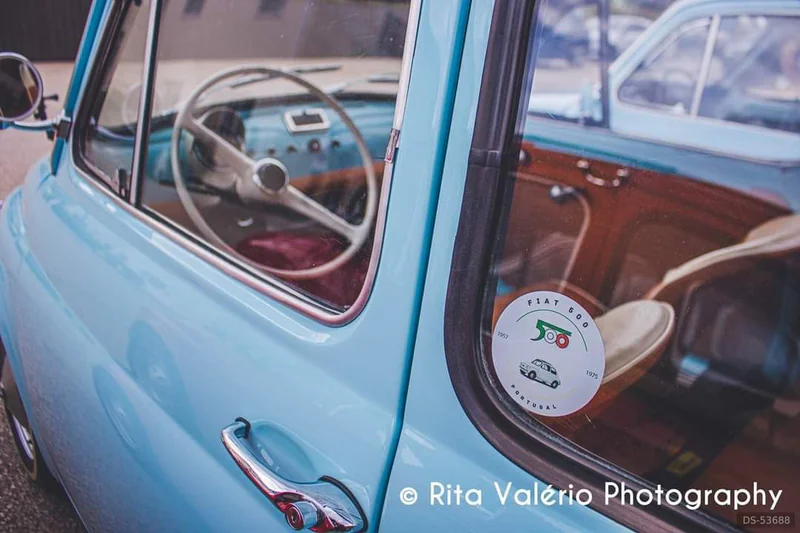 1967 Fiat 500 in Landal 4