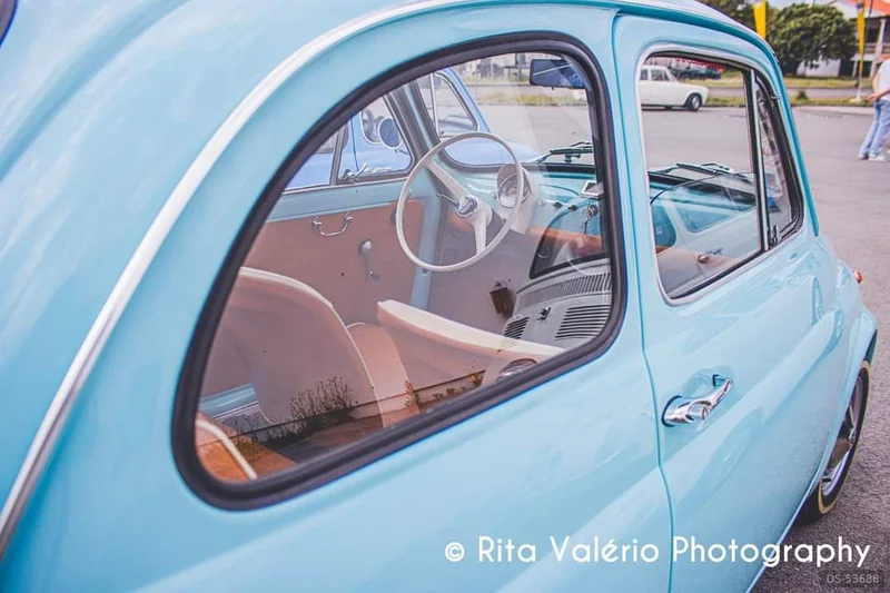 1967 Fiat 500 in Landal 8