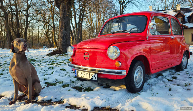 1980 Fiat 600d in Kraków 3