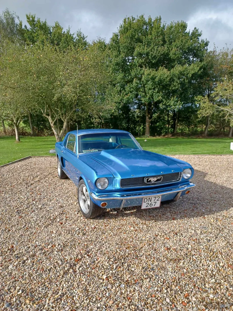 1966 Ford Mustang in Løgumkloster 4