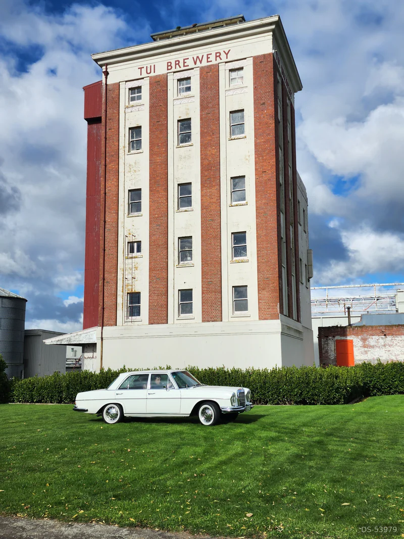 1972 Mercedes-Benz 280se in Petone 2
