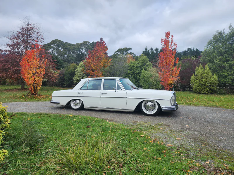 1972 Mercedes-Benz 280se in Petone 1