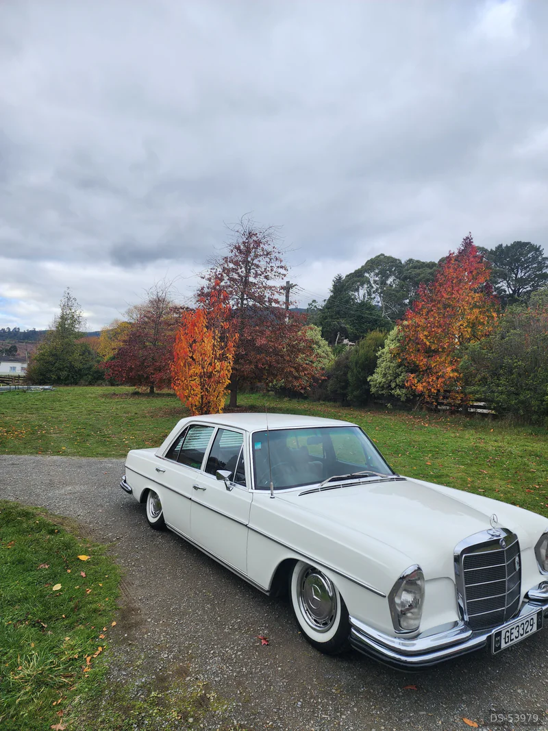 1972 Mercedes-Benz 280se in Petone 3