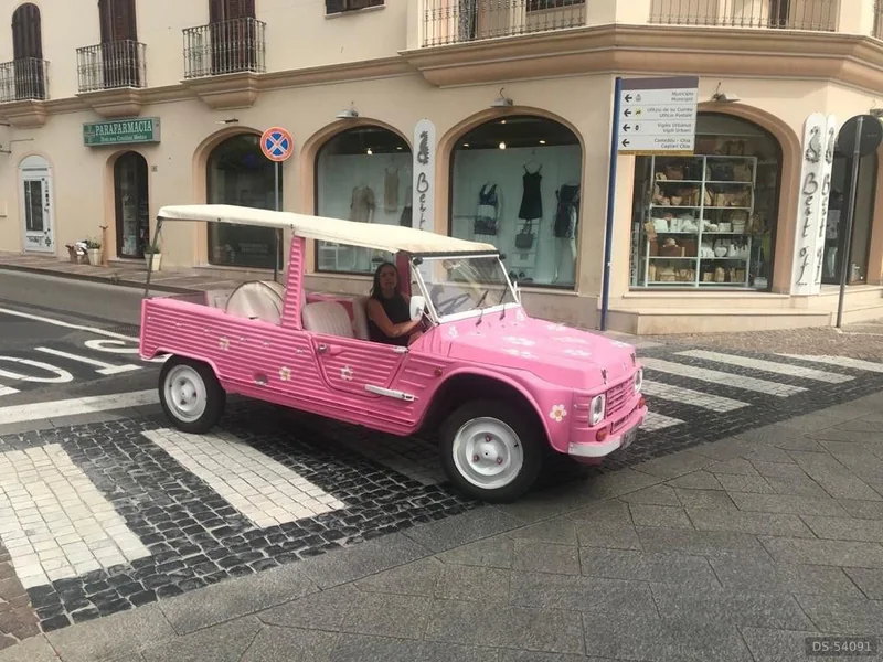 1986 Citroen Mehari in Pula (CA) 6