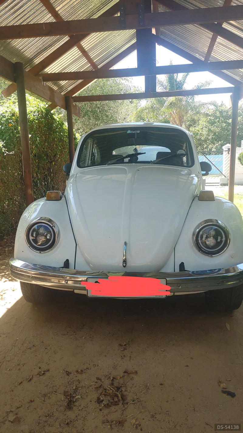 1973 Volkswagen Beetle 1600 in Wellington 3