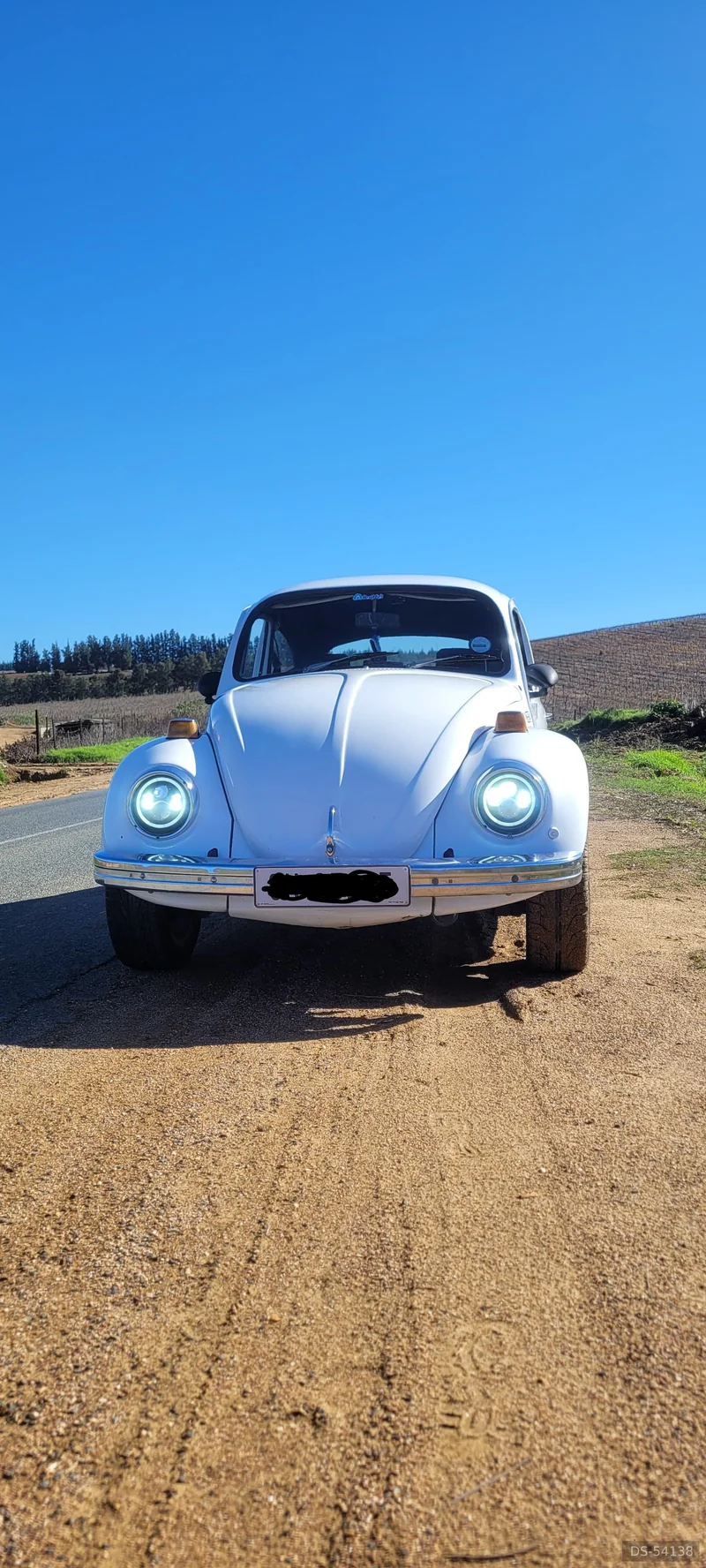 1973 Volkswagen Beetle 1600 in Wellington