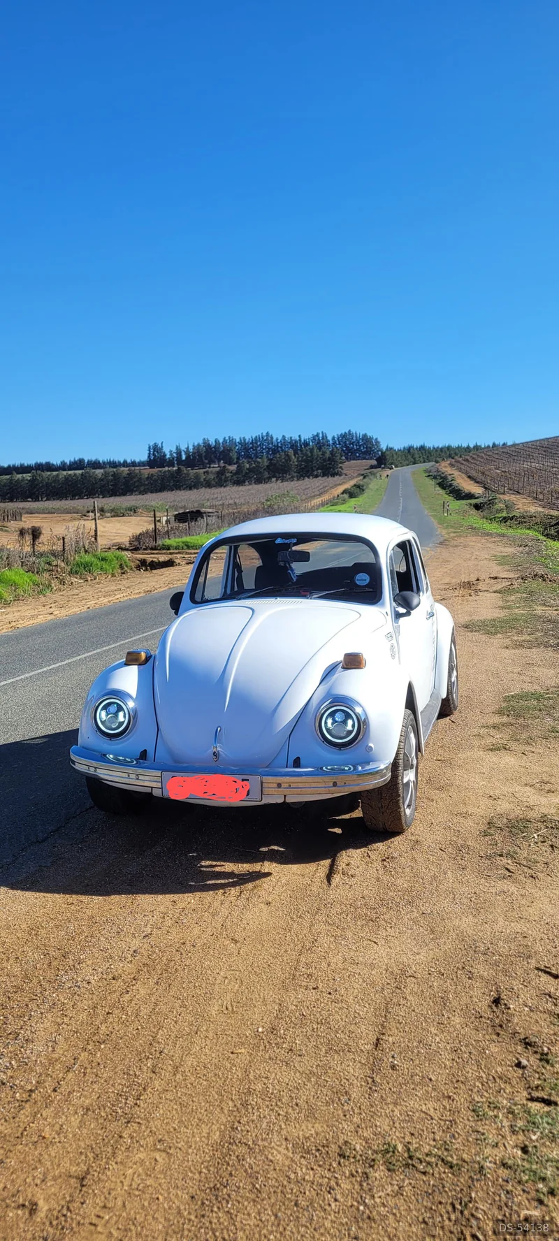 1973 Volkswagen Beetle 1600 in Wellington 2