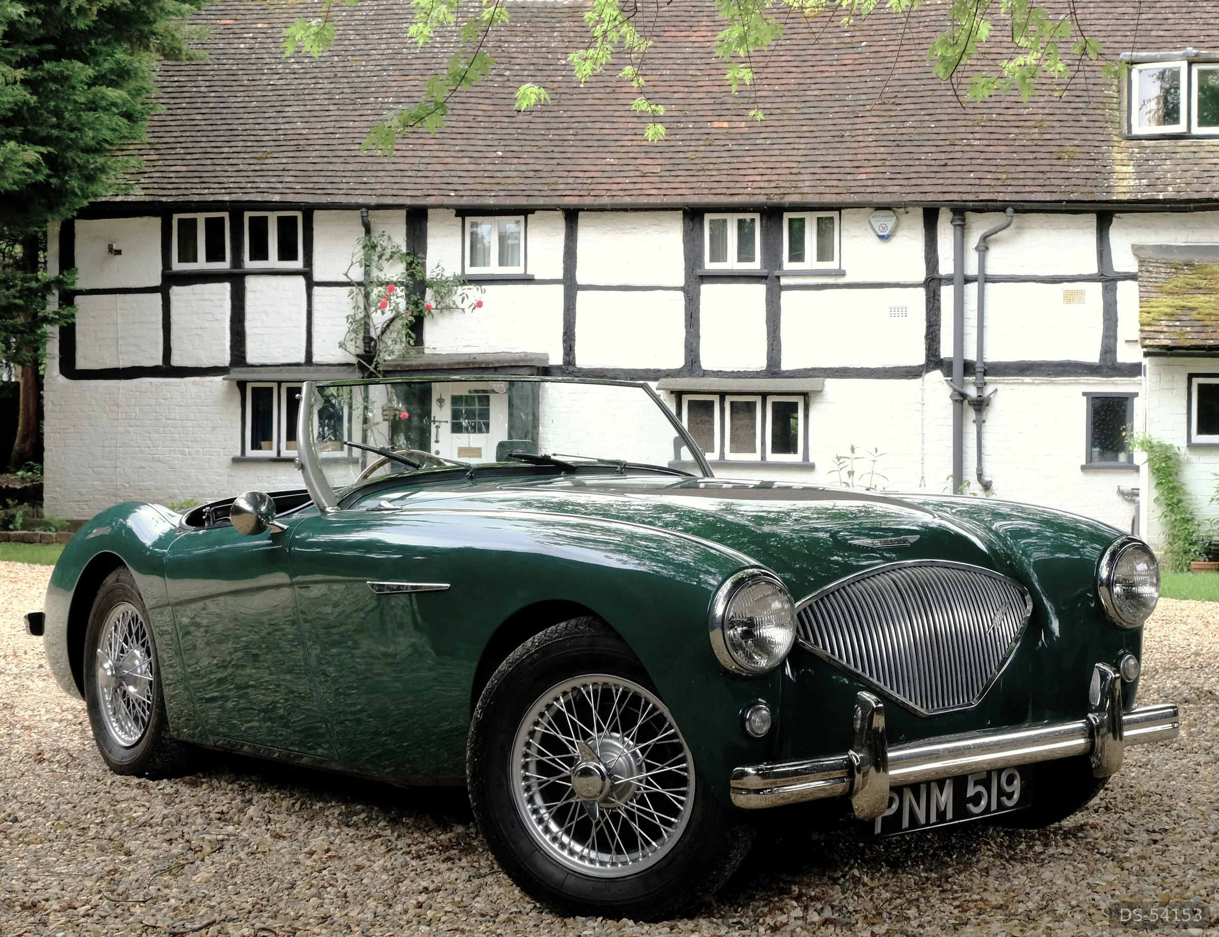 1955 Austin Healey 100