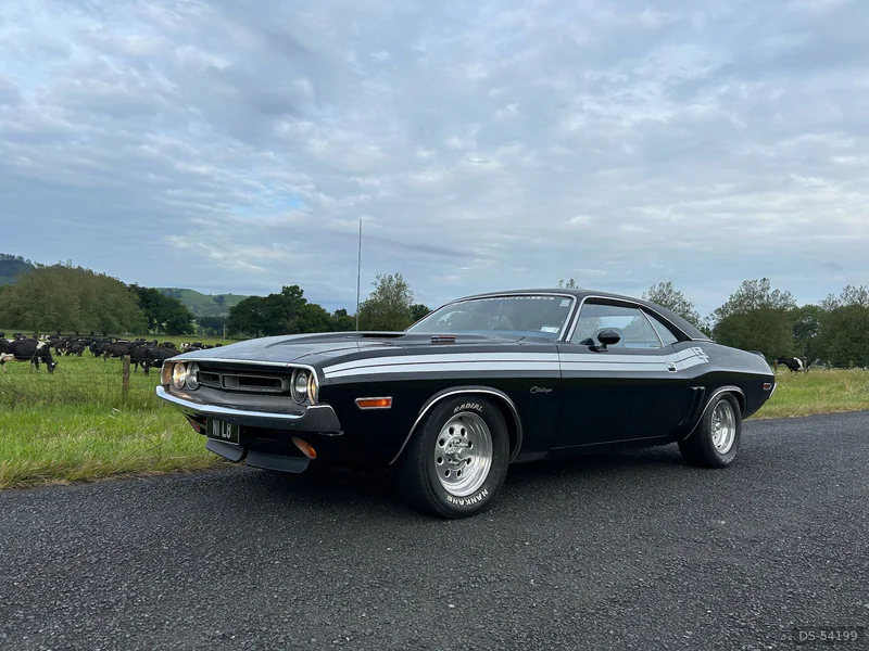 1971 Dodge Challenger in Waikato