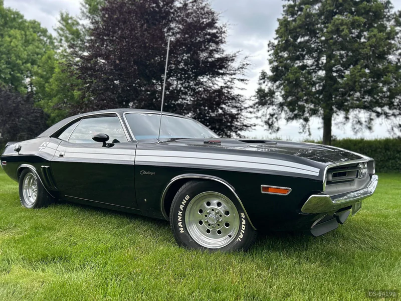 1971 Dodge Challenger in Waikato 2