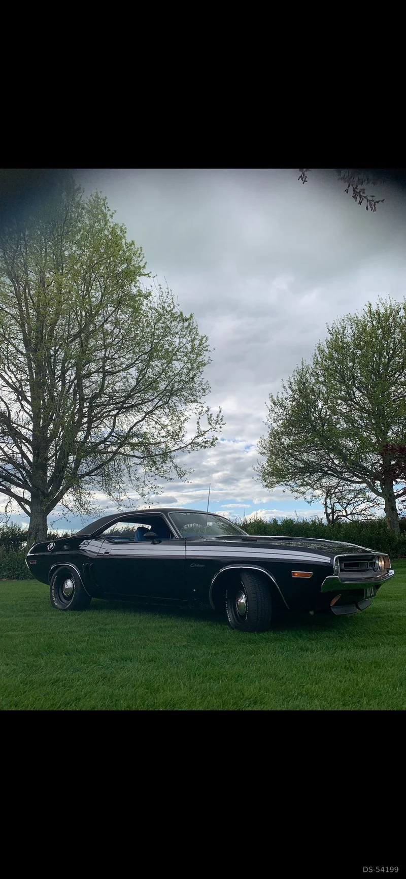 1971 Dodge Challenger in Waikato 4