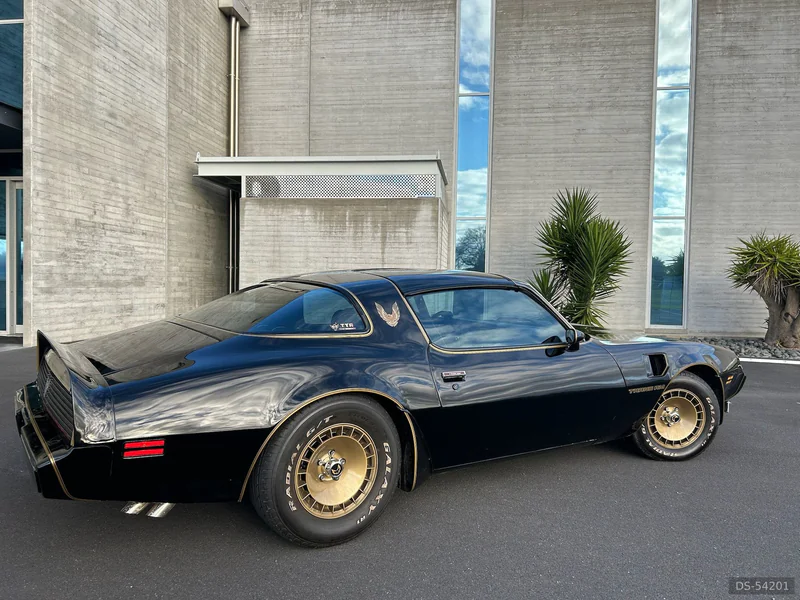 1981 Pontiac Smokey And The Bandit Firebird in Waikato 2