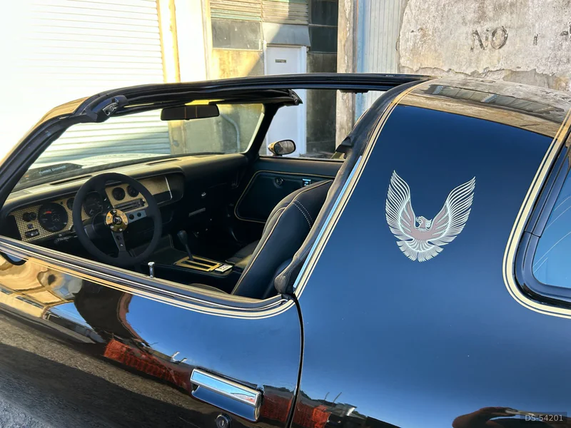 1981 Pontiac Smokey And The Bandit Firebird in Waikato 3