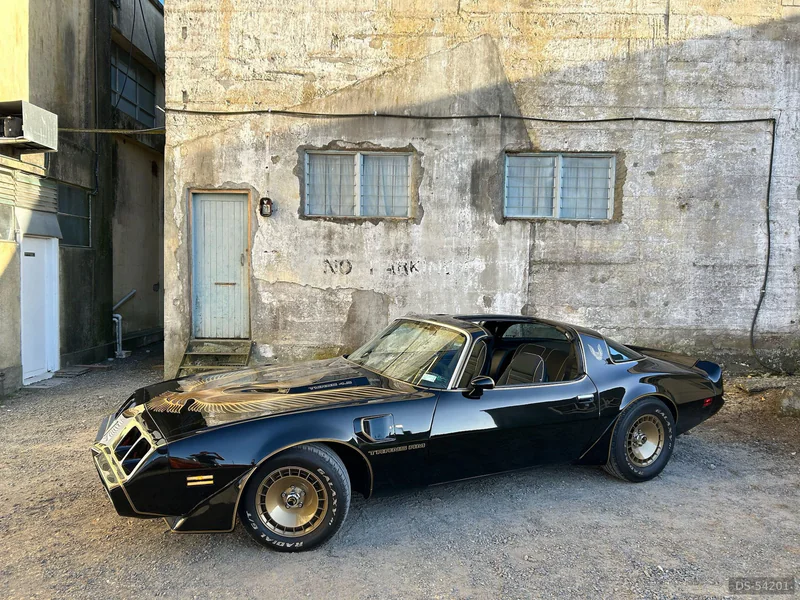 1981 Pontiac Smokey And The Bandit Firebird in Waikato 4