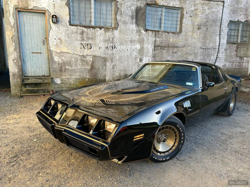 1981 Pontiac Smokey And The Bandit Firebird in Waikato 5