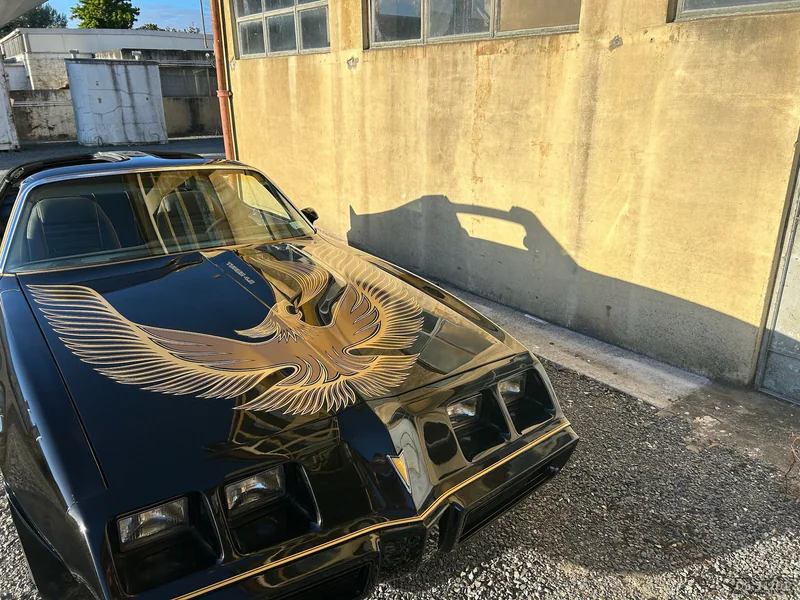 1981 Pontiac Smokey And The Bandit Firebird in Waikato 7