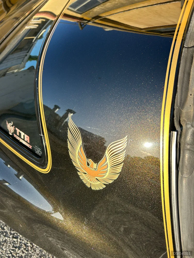 1981 Pontiac Smokey And The Bandit Firebird in Waikato 8