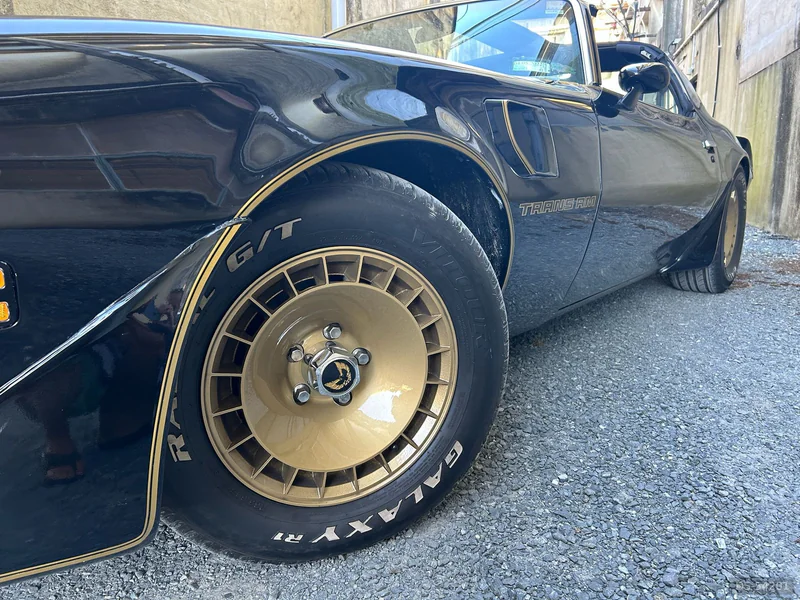 1981 Pontiac Smokey And The Bandit Firebird in Waikato 9