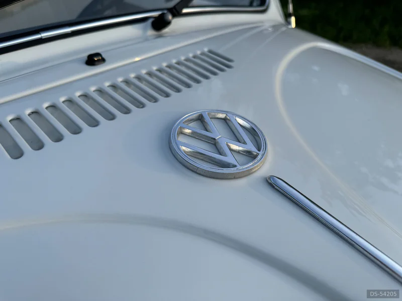 1969 Volkswagen Käfer Cabrio 1500 in Dielsdorf 6