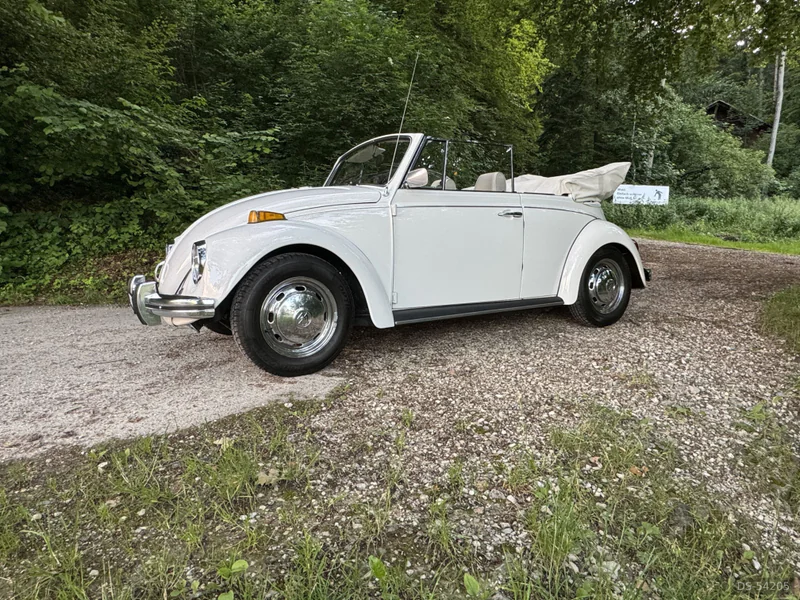 1969 Volkswagen Käfer Cabrio 1500 in Dielsdorf 7