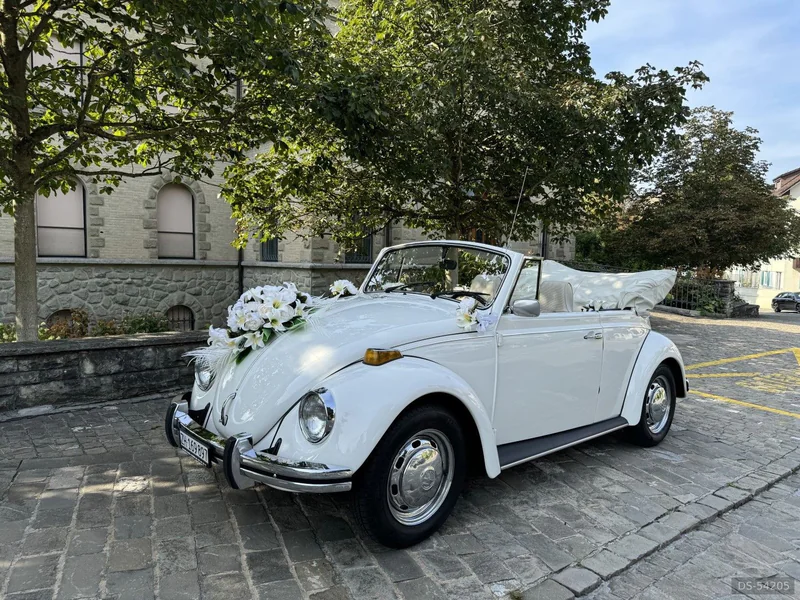 1969 Volkswagen Käfer Cabrio 1500 in Dielsdorf 1