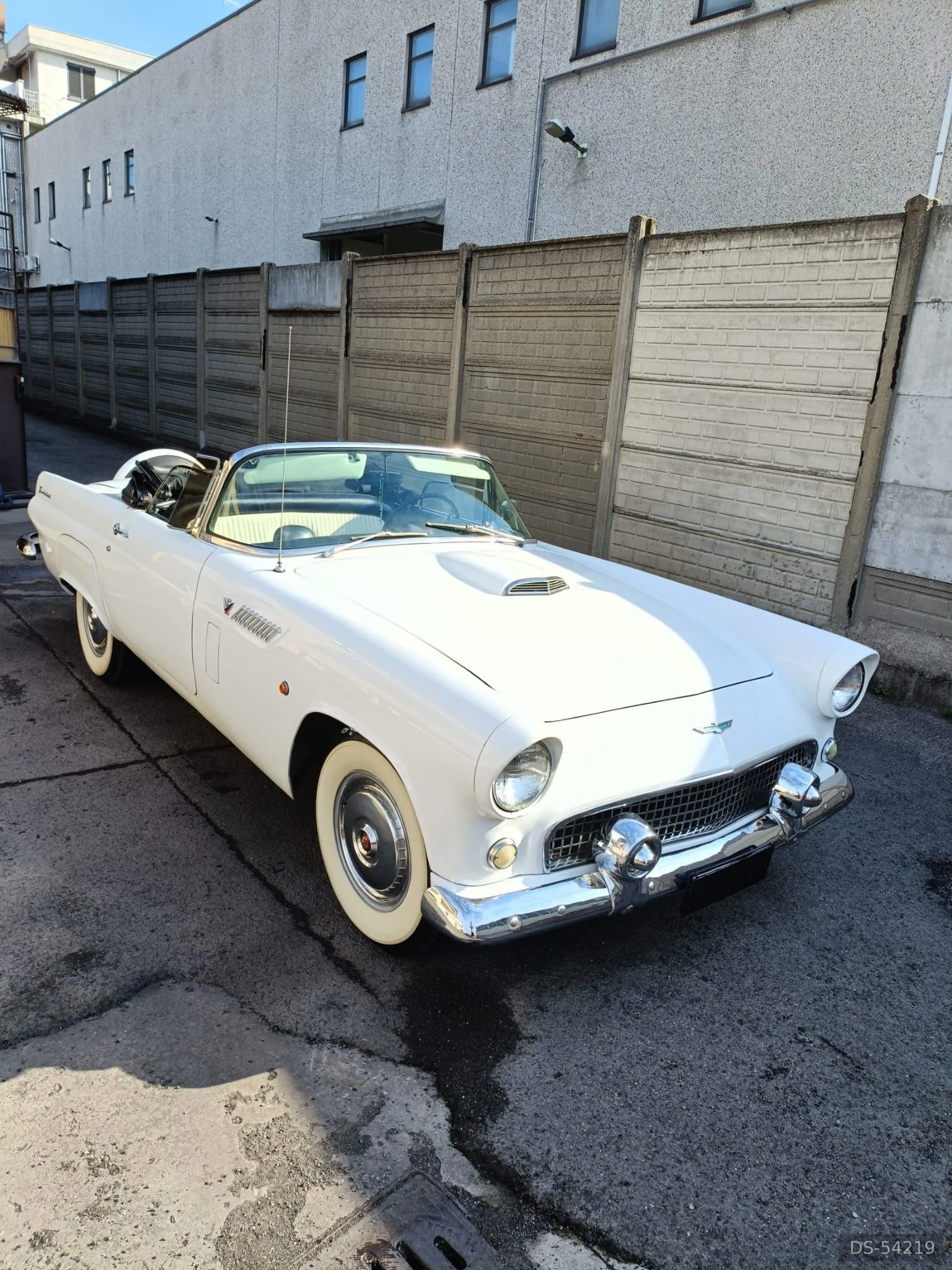 1956 Ford Thunderbird