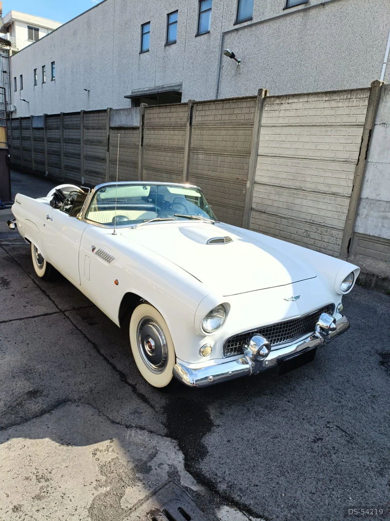 1956 Ford Thunderbird in Corsico