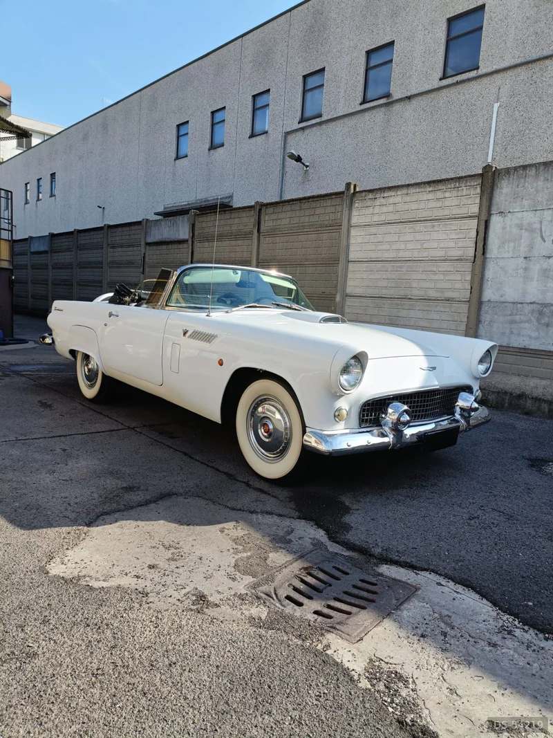 1956 Ford Thunderbird in Corsico 2