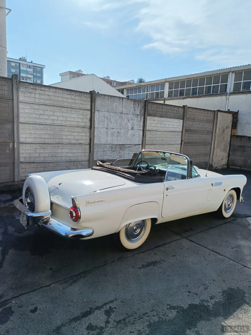 1956 Ford Thunderbird in Corsico 5