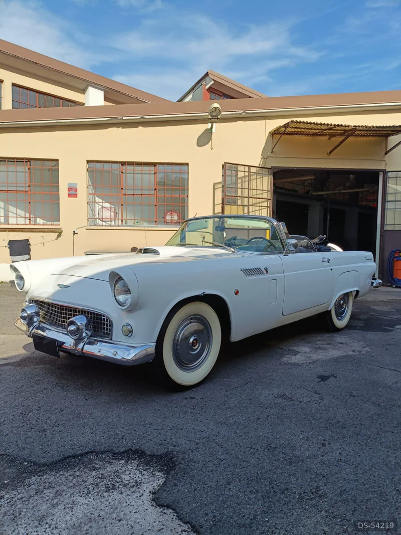 1956 Ford Thunderbird in Corsico 6